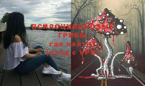 крисы Липки