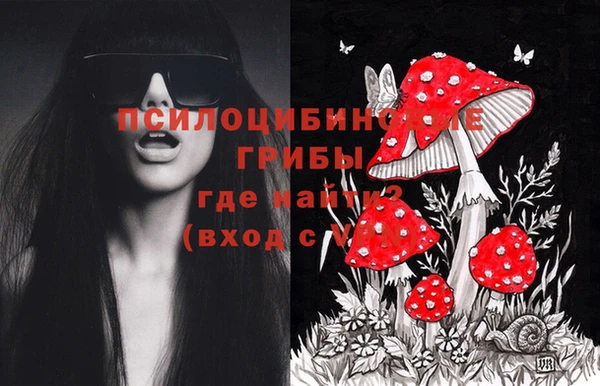 mdpv Лихославль
