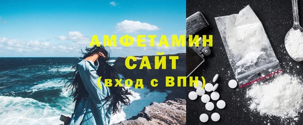 шишки Кодинск