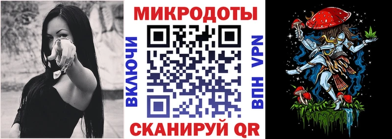 Галлюциногенные грибы Psilocybe  Юрга 